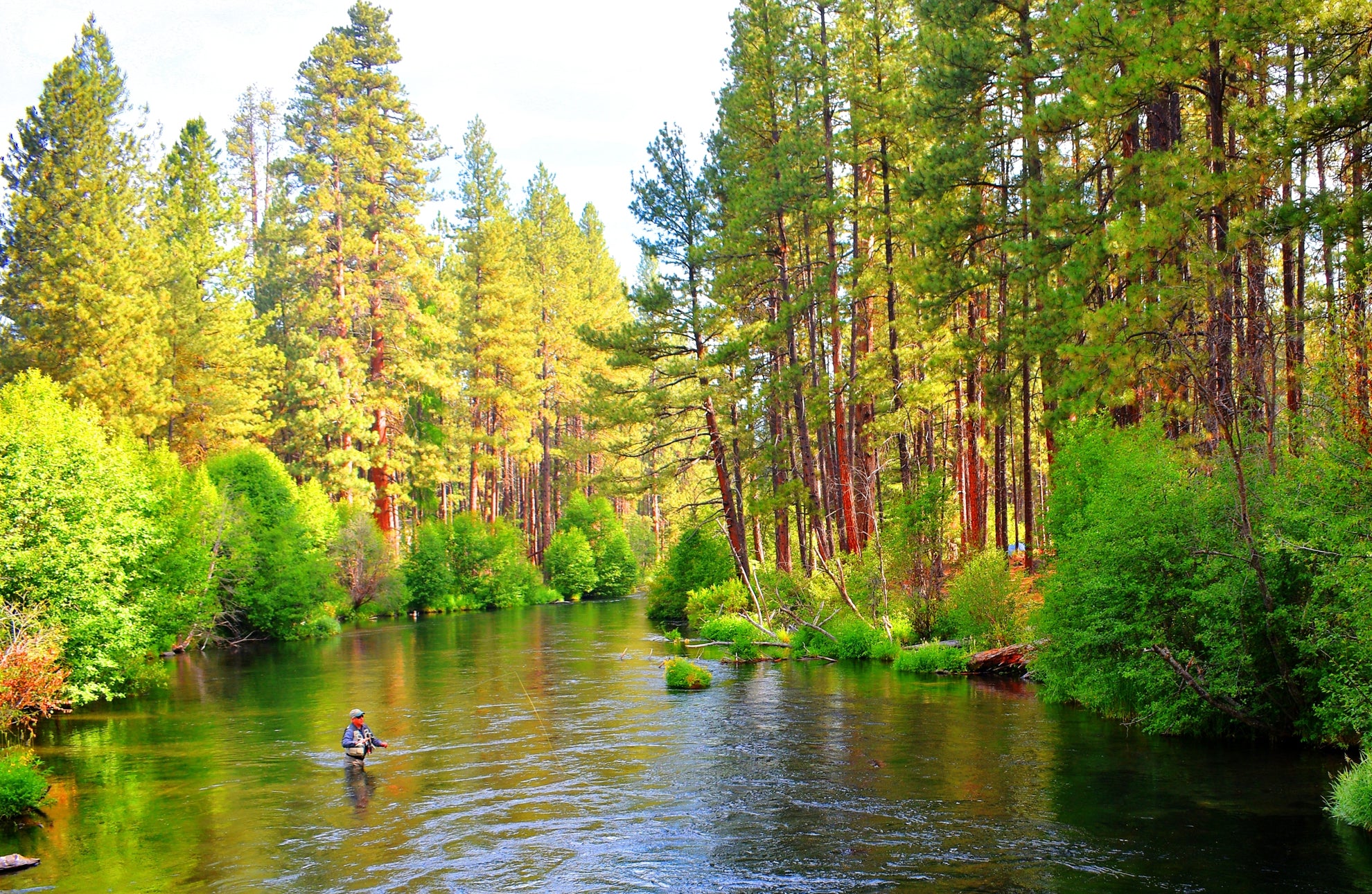 Euro Nymph Fishing with The Fly Fishing Place Fly Shop