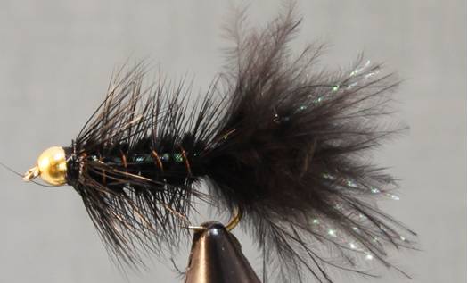 BH Woolly Bugger