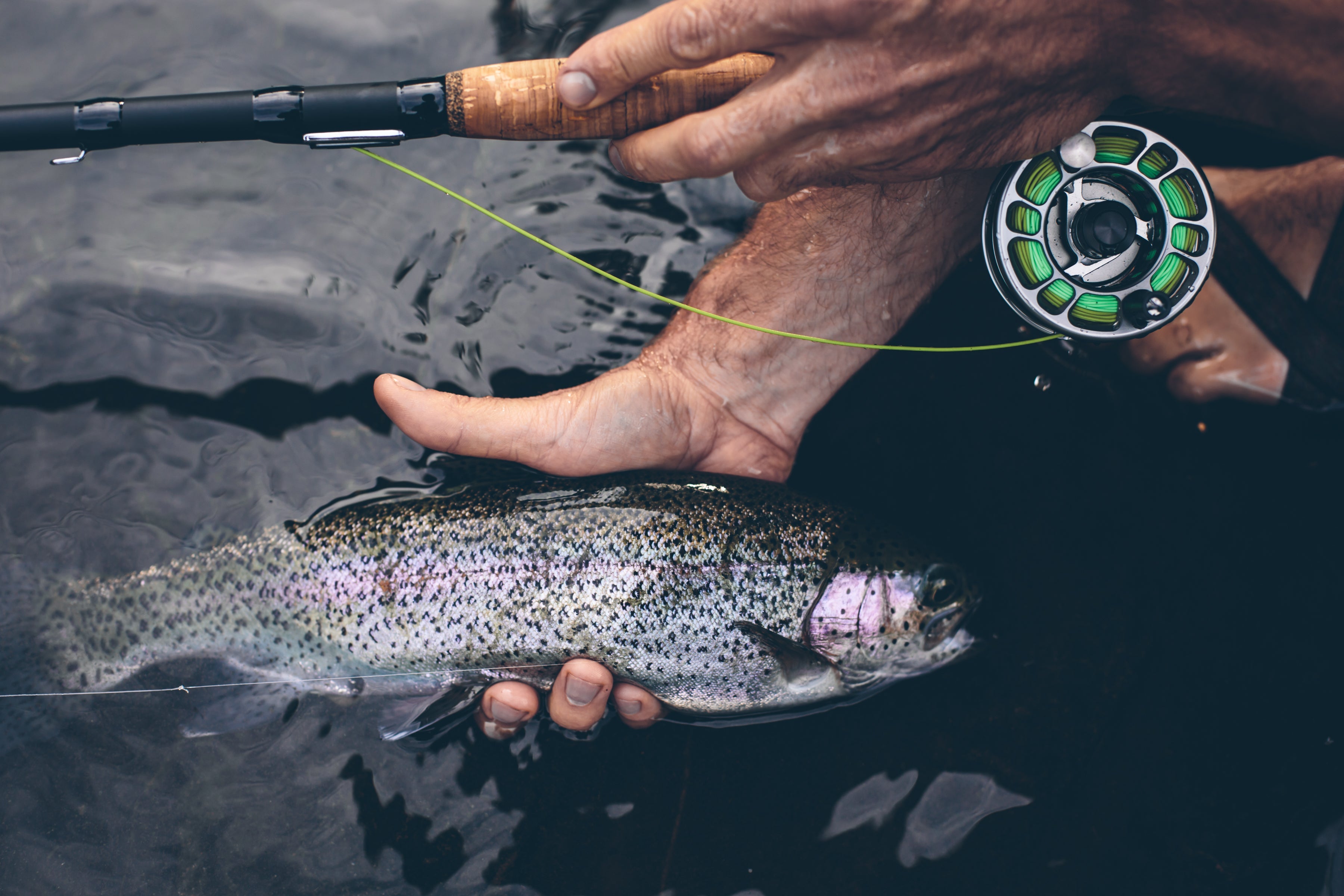 FIRST CAST Travel Fly Rod - 6wt - 8.5ft