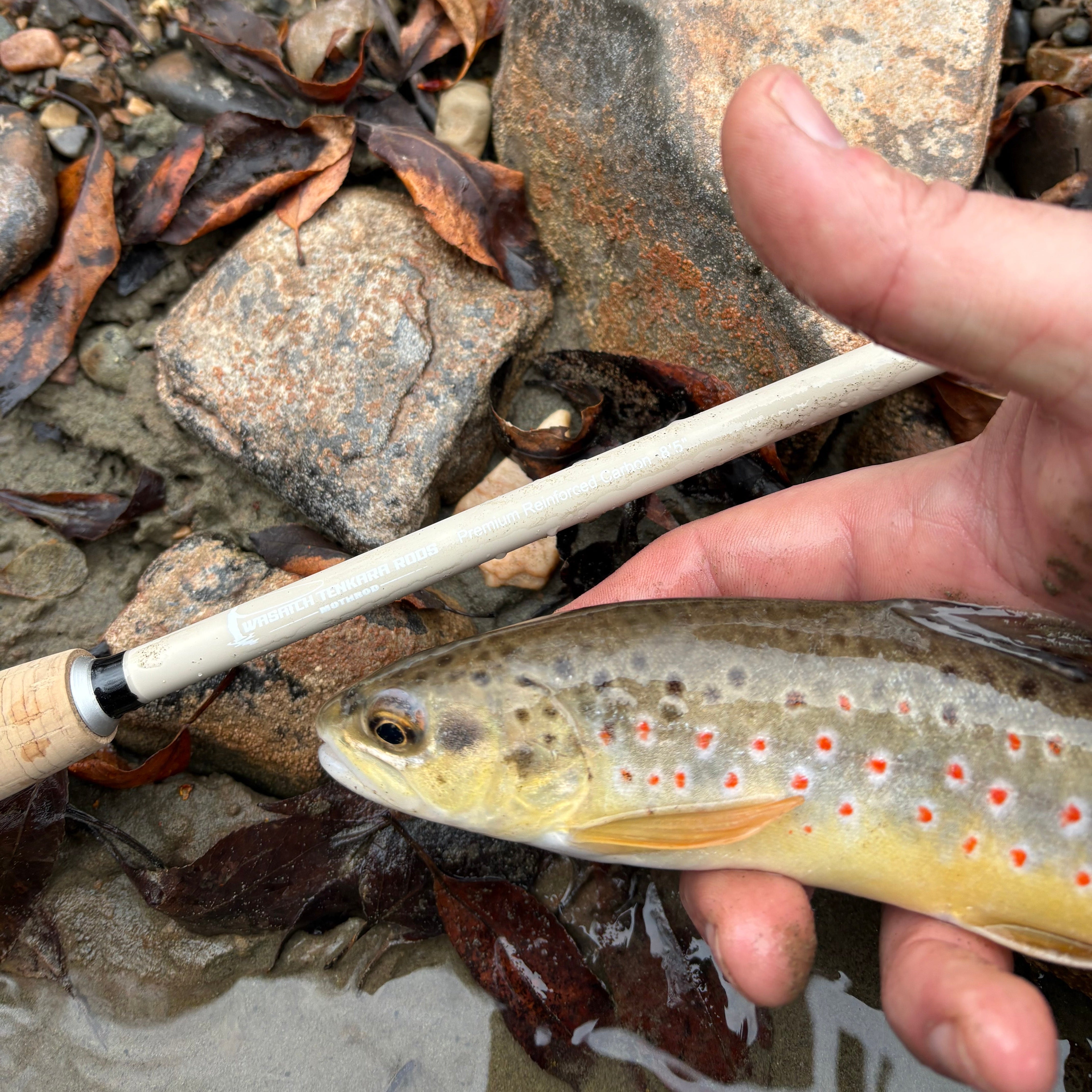MothRod Single Length Tenkara Rod