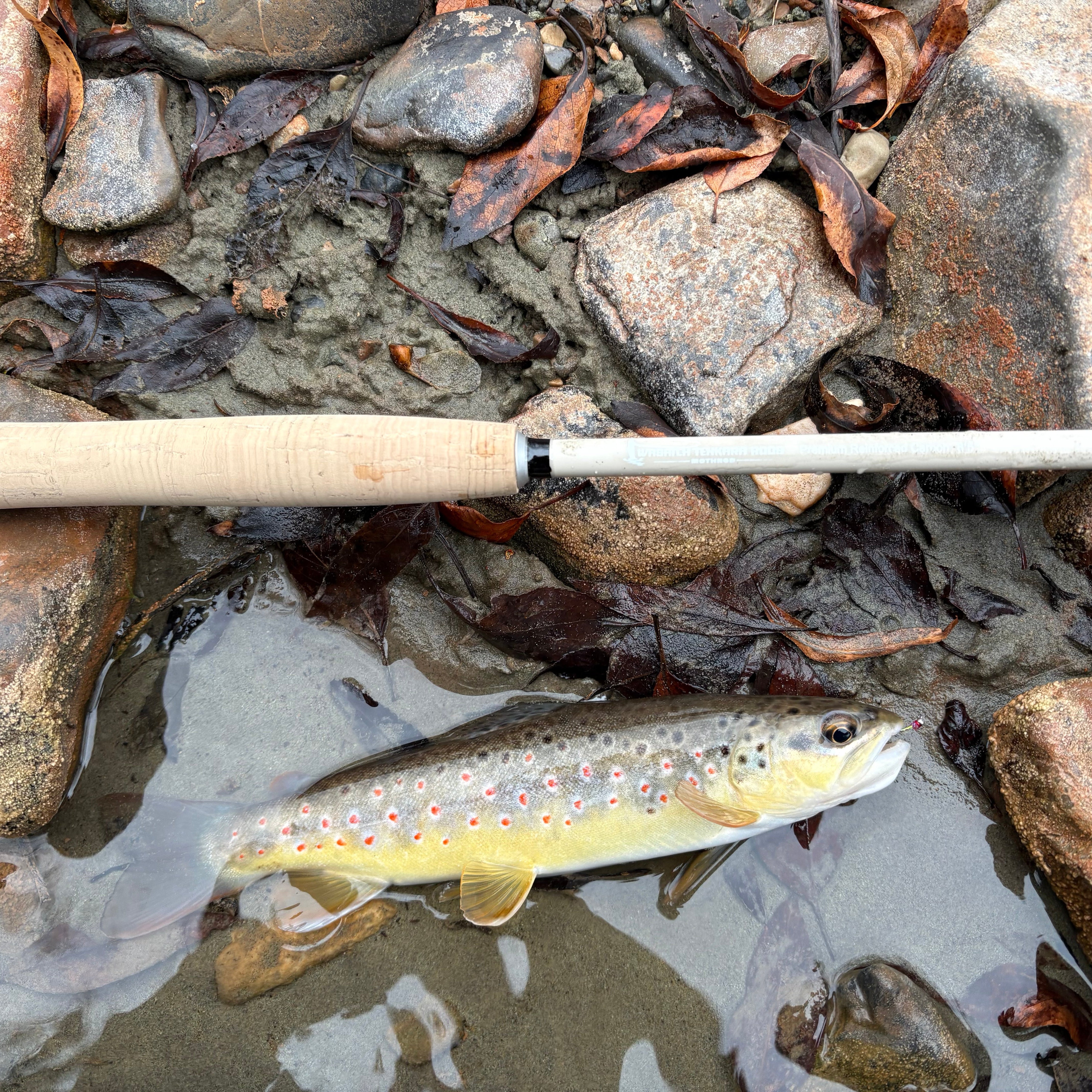 MothRod Single Length Tenkara Rod