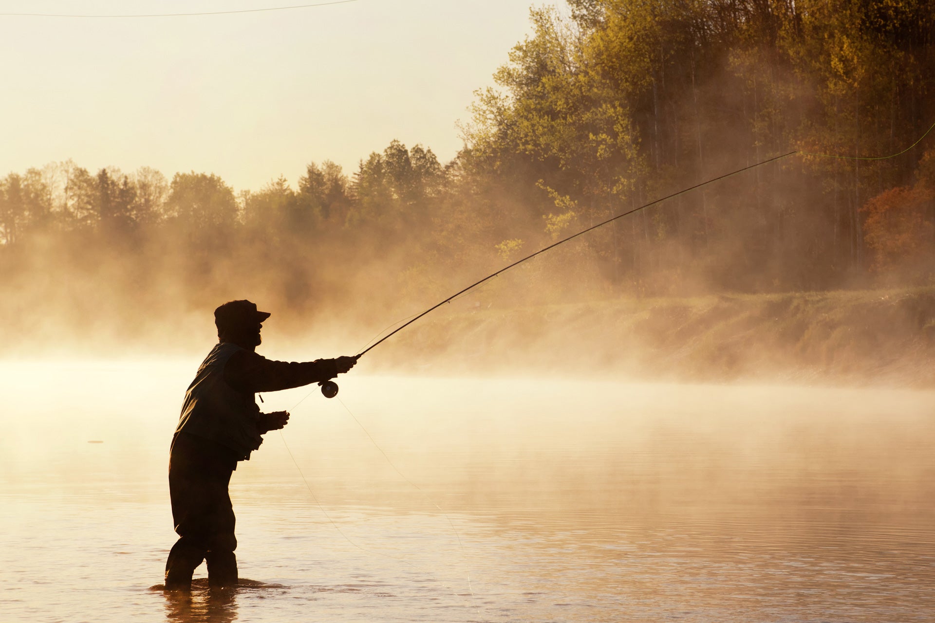 Paquete de 3 anzuelos de ninfa con cabeza de cuentas, cola de faisán, tamaño 14, moscas de pesca con mosca