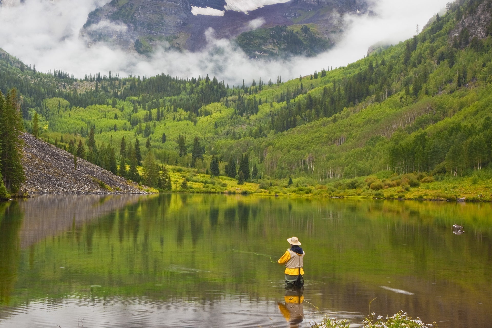Kaufmann's Royal Crystal Estimulador Patas de Goma Mosca Seca - 1 Docena de Ganchos para Moscas Tamaño 10