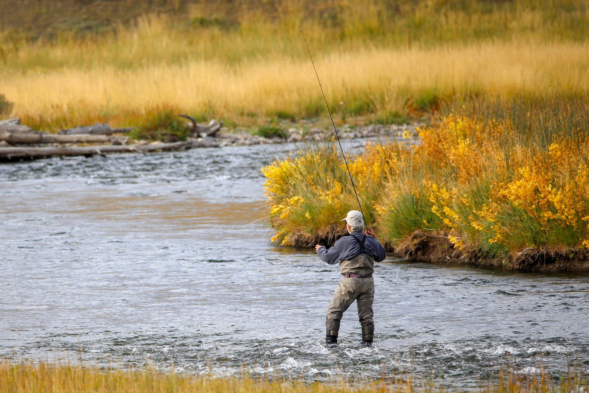 Circus Peanut Envy Streamer Olive - Tamaño 6 - Moscas de pesca articuladas - Juego de 3