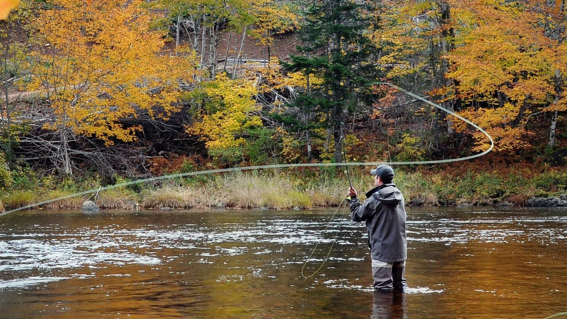 Pale Morning Dun Parachute PMD Classic Dry Fly - 6 Flies Hook Size 20