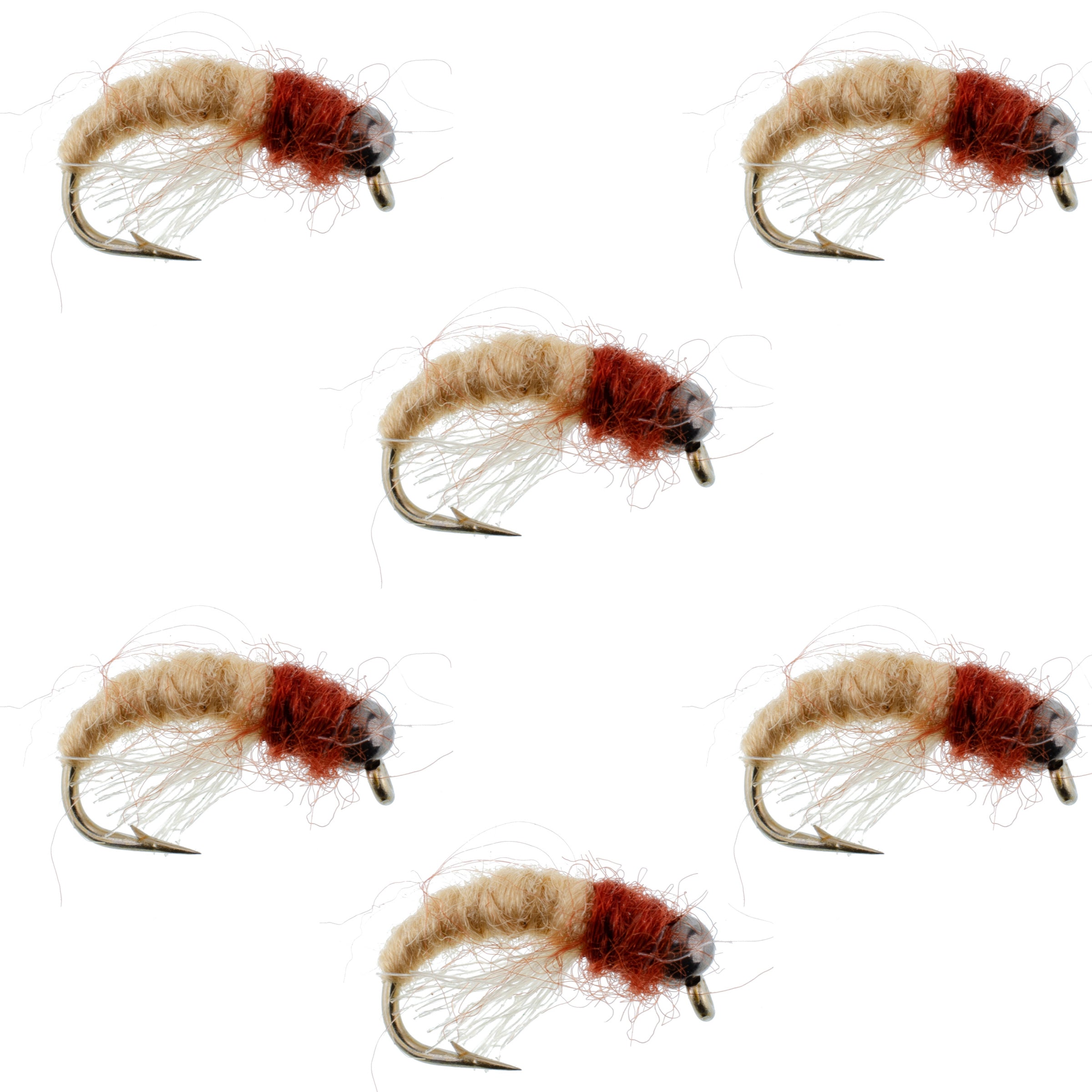 Bead Head Tan Brown Caddis Larva Nymph 6 Flies Hook Size 12