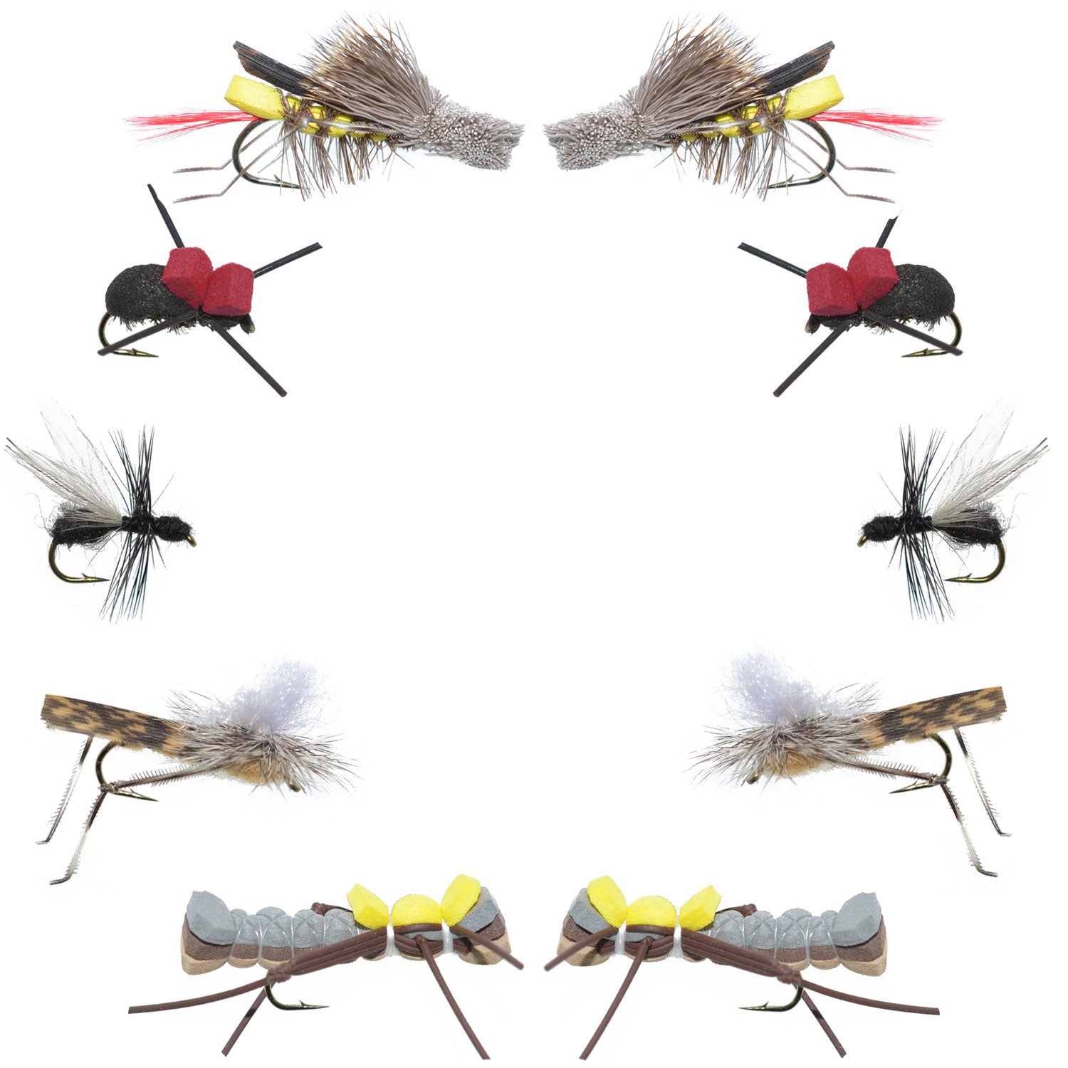 Basics Collection - Terrestrials Dry Fly Assortment - 10 Dry Fishing Flies - Hopper, Ant and Beetle Fishing Fly Patterns - Hook Sizes 10, 12 and 14