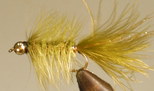 BH Woolly Bugger