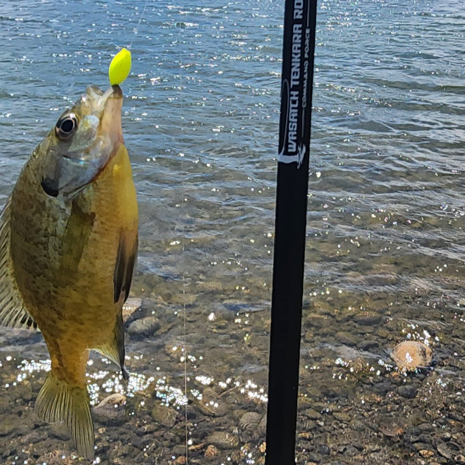 Command Force Compact Telescopic Spinning Rod