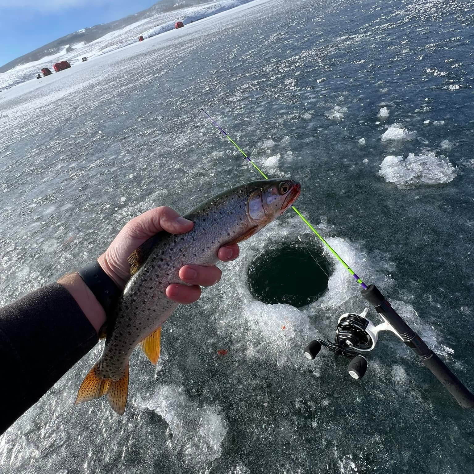 The Joker Medium-Fast Action Ice Fishing Rod "Co-Designed by Shifty Outdoors"