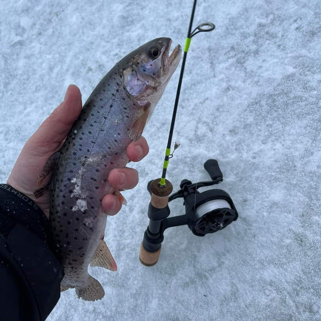 Ice Breaker Medium/Light Action Ice Fishing Rod
