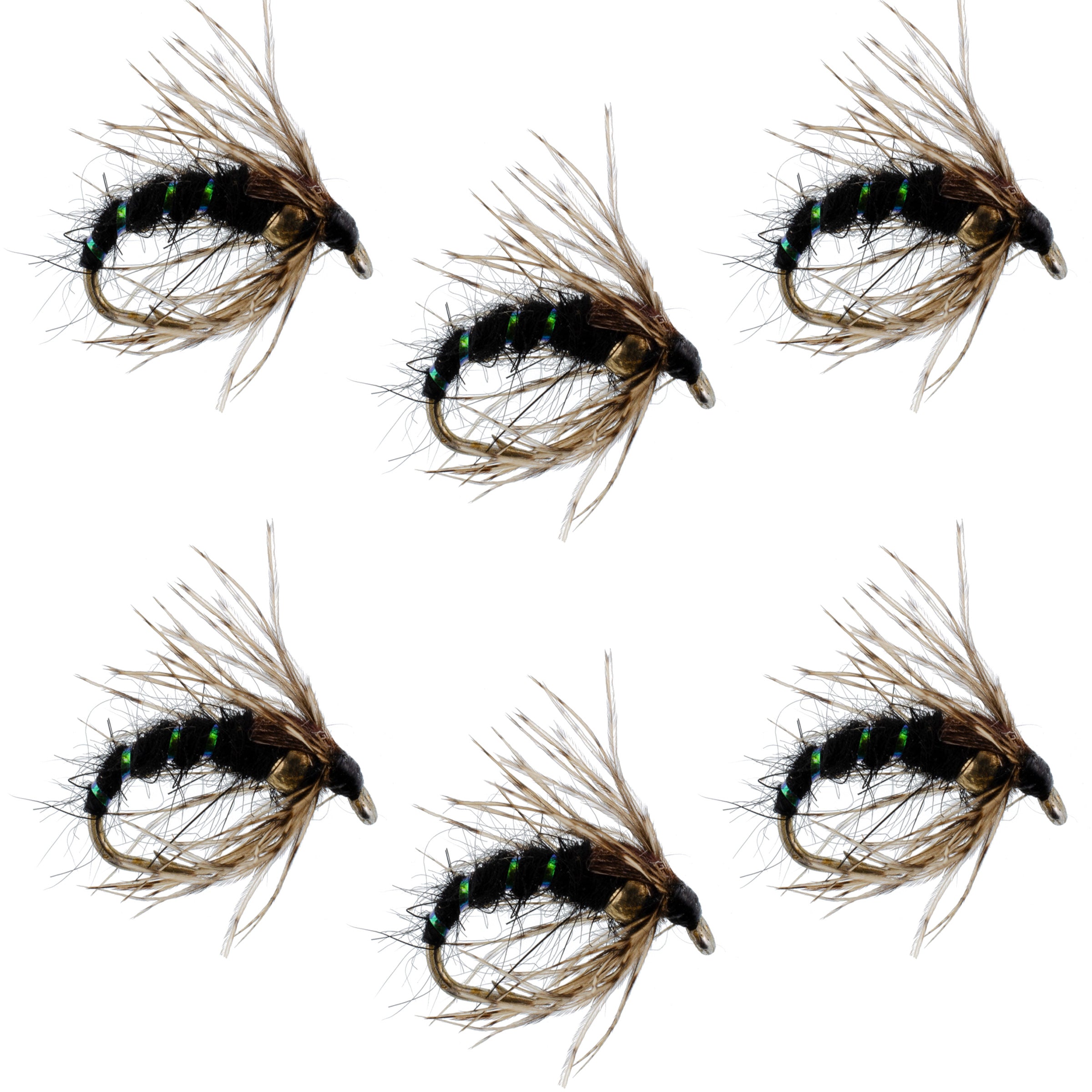 Black Holy Grail Caddis Pupa Emerger 6 Flies Hook Size 16