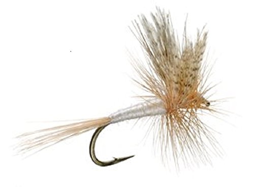 Barbless Light Cahill Classic Trout Dry Fly Fishing Flies - Set of 6 Flies Size 16