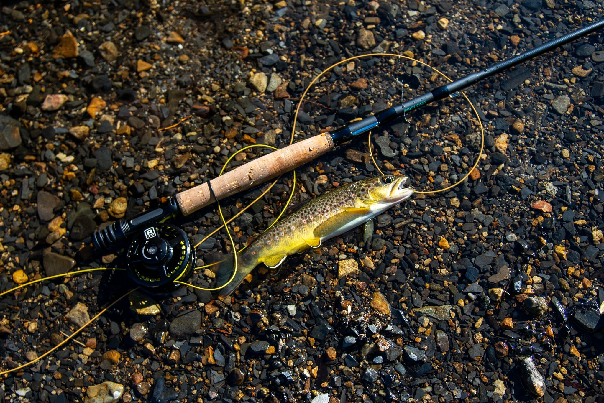 FIRST CAST Travel Fly Rod - 4wt - 7ft