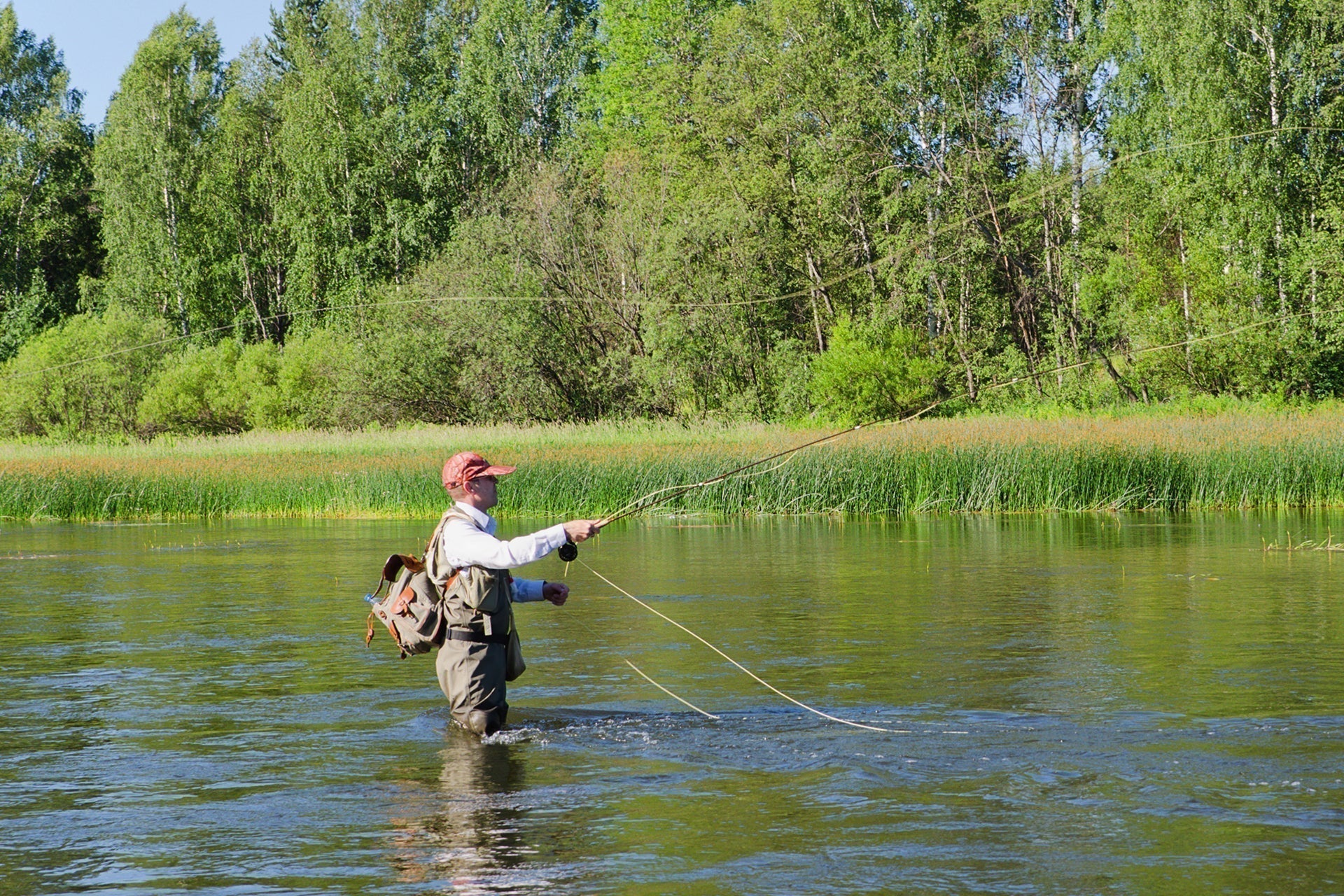 Soft Hackle Perdiz y Faisán Cola Pesca con Mosca Moscas Húmedas - 6 Moscas Gancho Tamaño 12