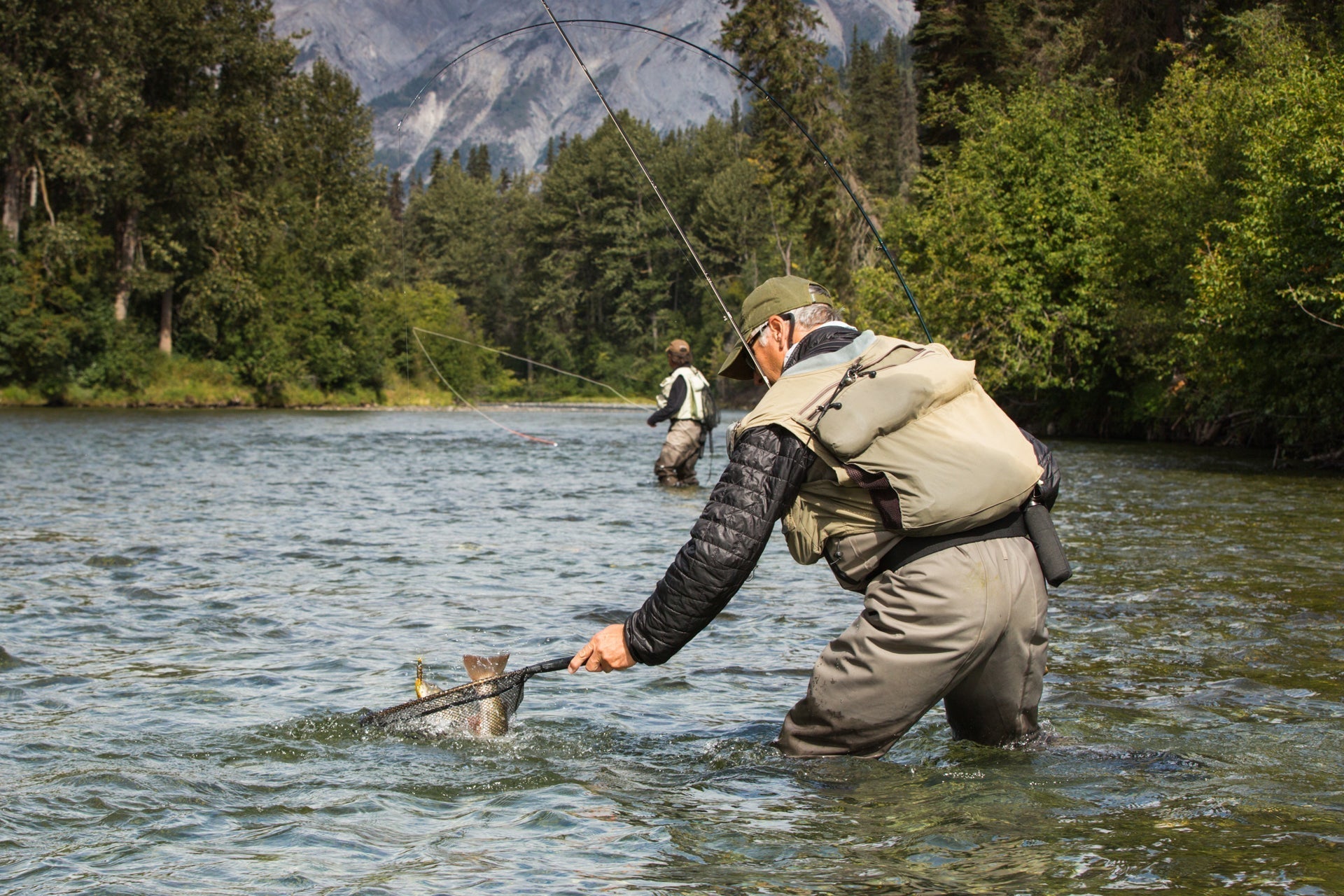 Paquete de 3 cabezas de cuentas doradas con parte trasera dorada, oreja de liebre acanalada, ninfa, pesca con mosca, anzuelo, tamaño 18