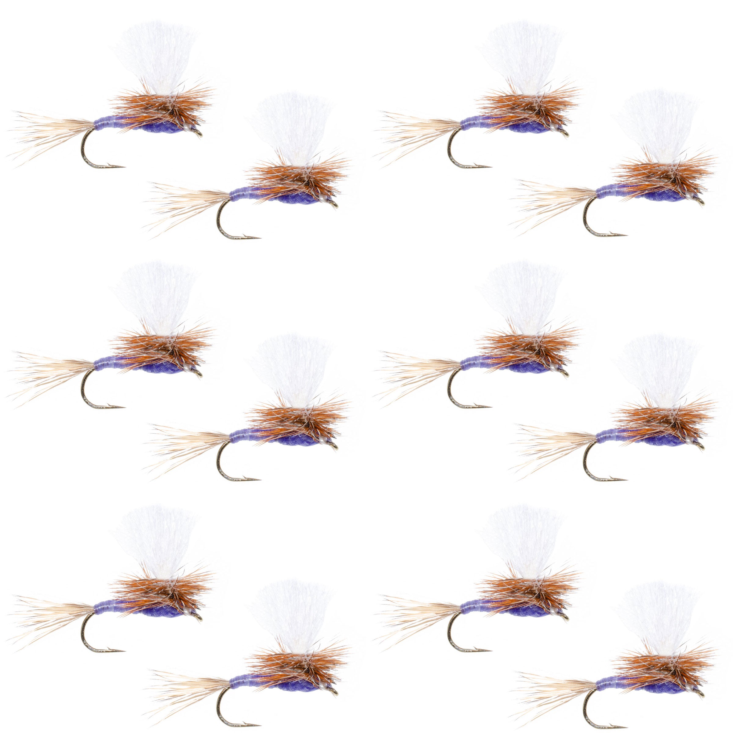 Parachute Purple Haze Dry Fly - 12 Flies Size 12