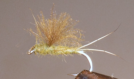 RS2 Emergers - Olive or Tan