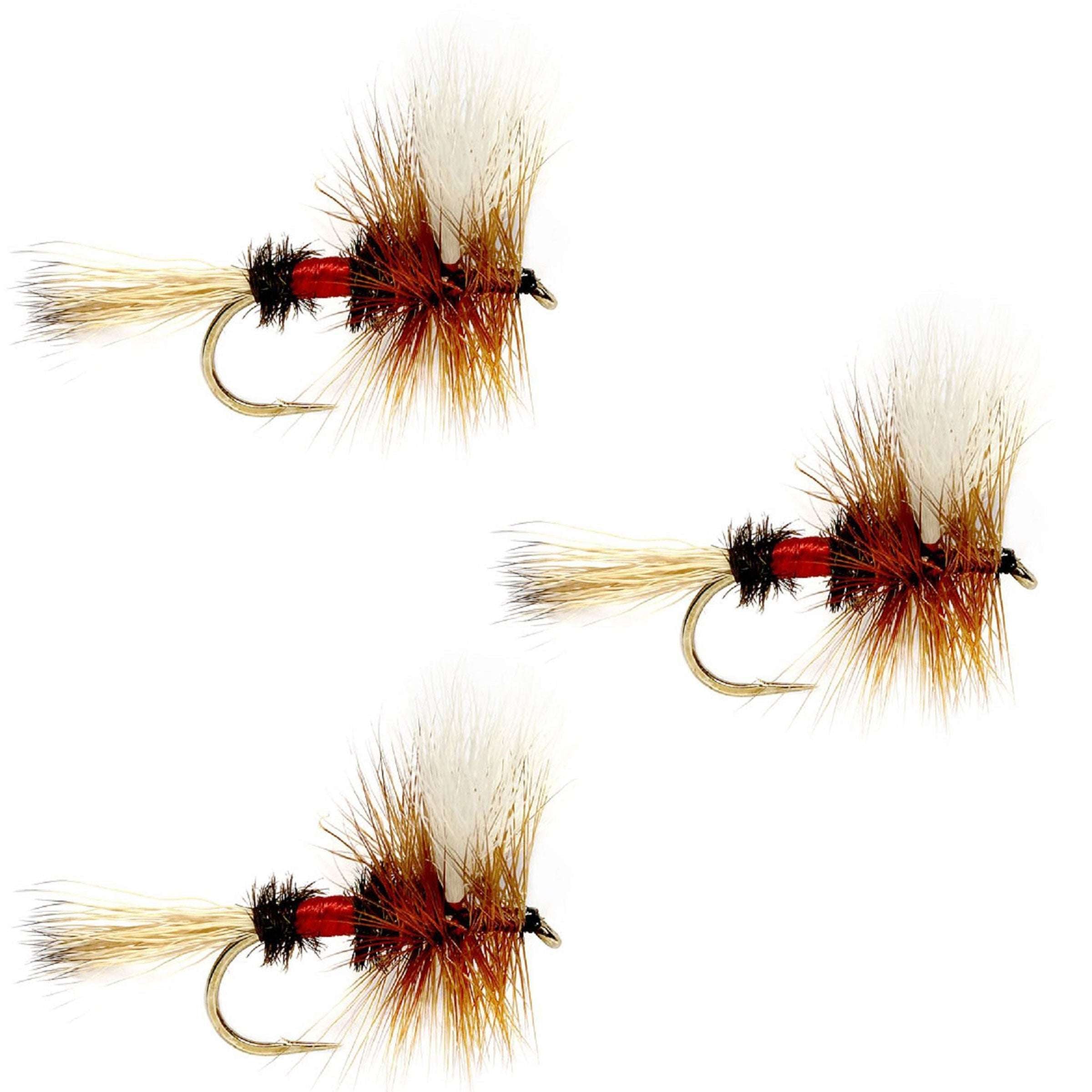 3 Pack Barbless Royal Wulff Classic Hair Wing Dry Fly - Hook Size 8