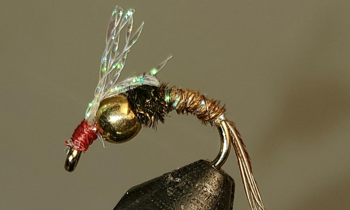 BH Sparkle Back P.T.