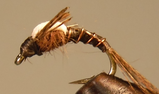 Split Foam Back™ Midges