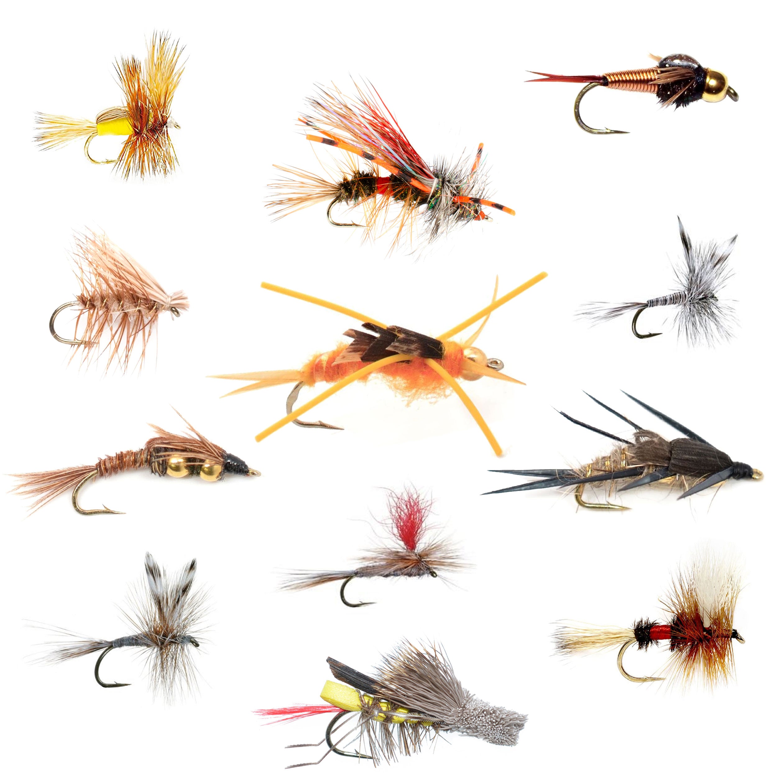 Trout Fly Assortment Essential Western Dry and Nymph Fly Fishing Fli