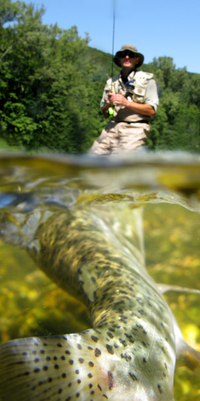A fisherman using a Dahlberg diver fly while casting in a river with lush greenery in the background