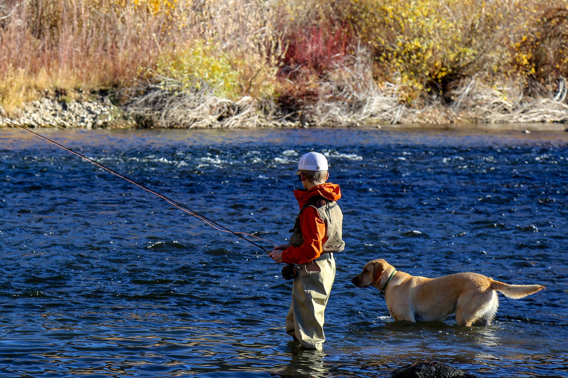 Person fishing in a river with a dog, enjoying outdoor adventure with san juan worm flies