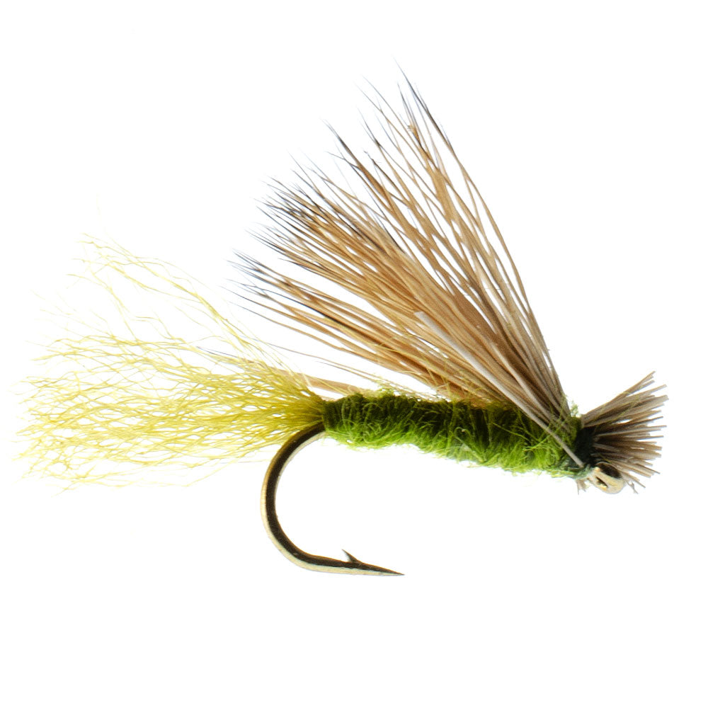 Olive X Caddis Emerging Caddis Adult Trout Dry Fly - 6 Flies Hook Size 18