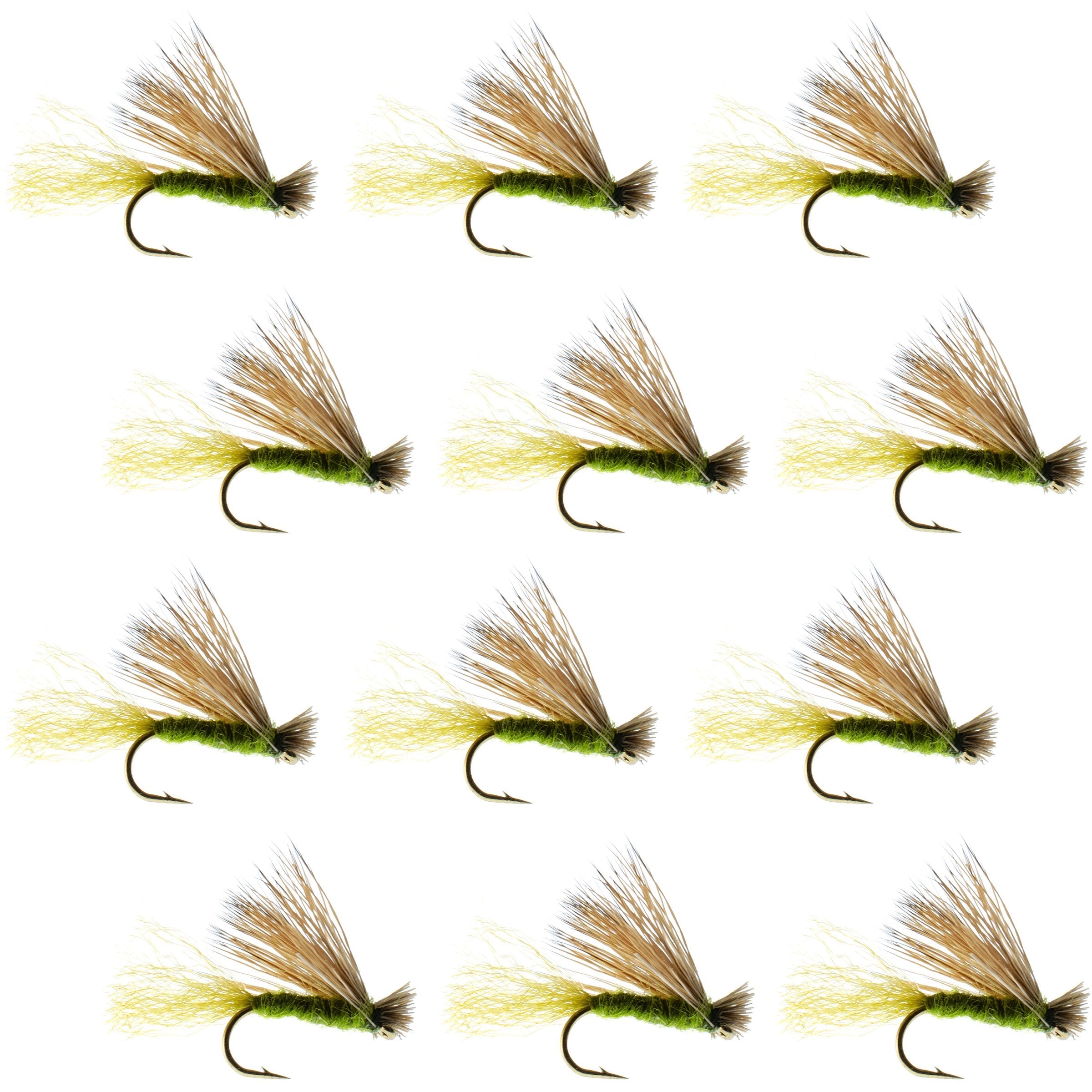 Olive X Caddis Emerging Caddis Adult Trout Dry Fly - 1 Dozen Flies Hook Size 14