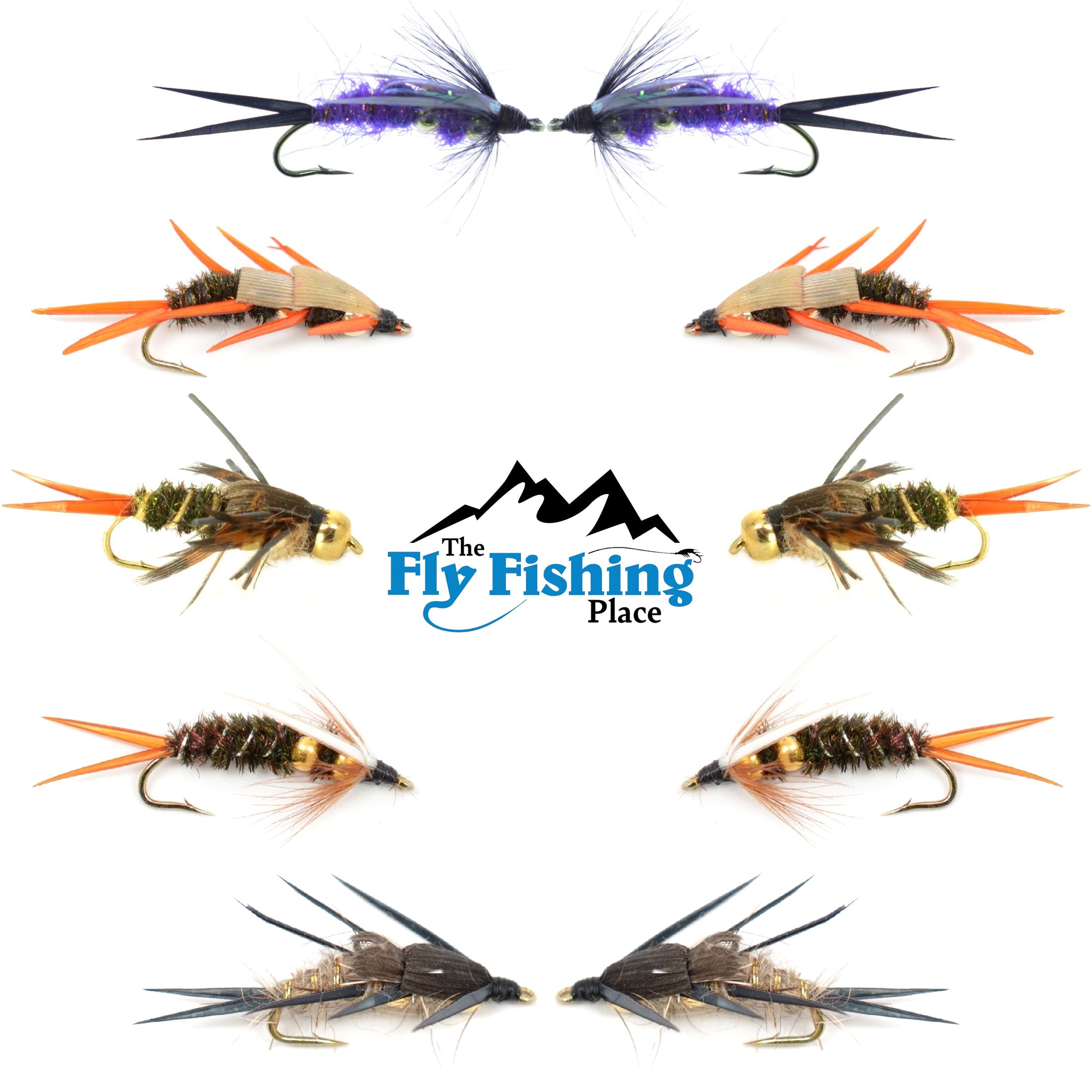Basics Collection - Double Bead Head Nymph Assortment - 10 Wet Flies - 5 Patterns - Hook Size 14