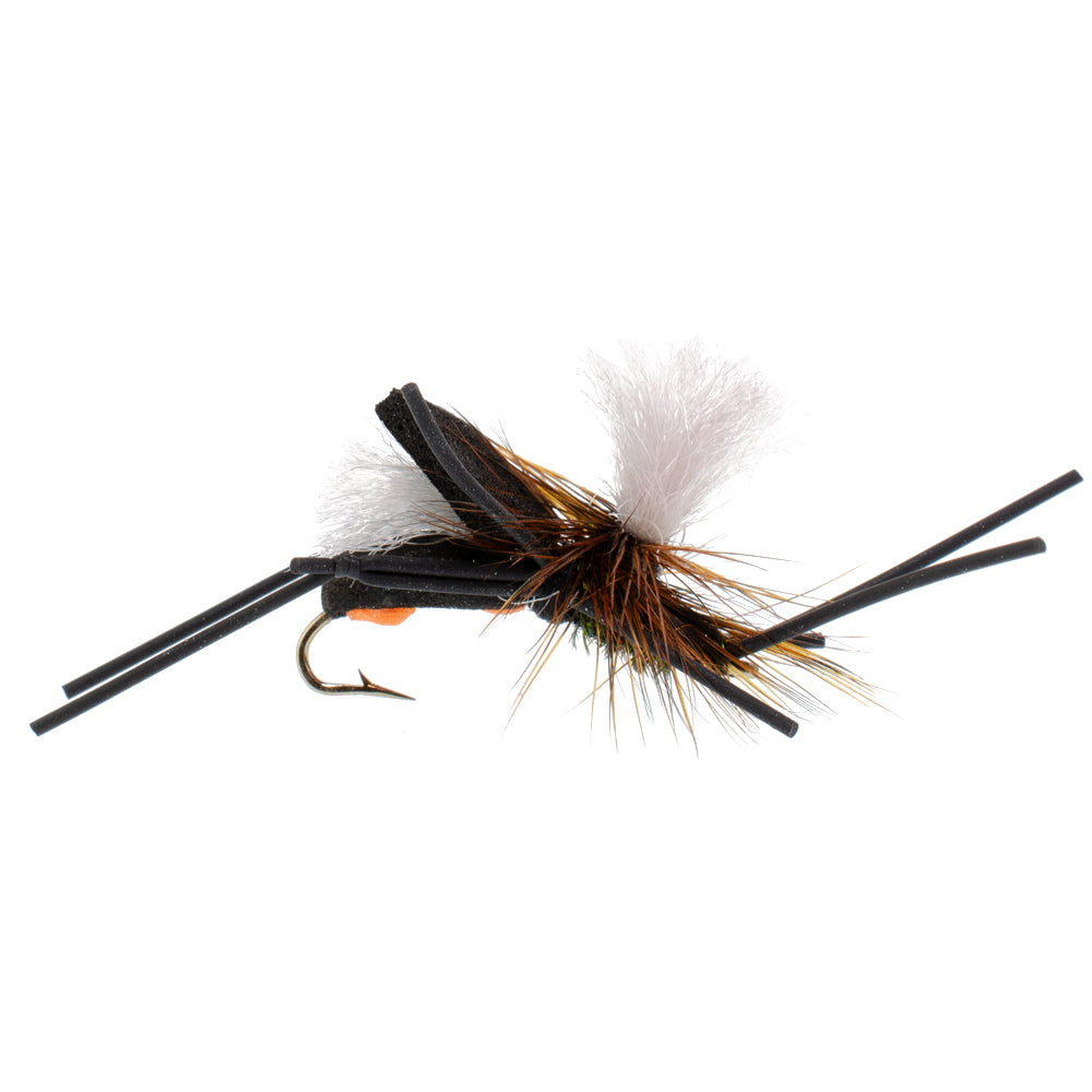 Basics Collection - Foam Hoppers Dry Fly Assortment #2 - 10 Dry Fishing Grasshopper Flies - 5 Patterns - Hook Size 10