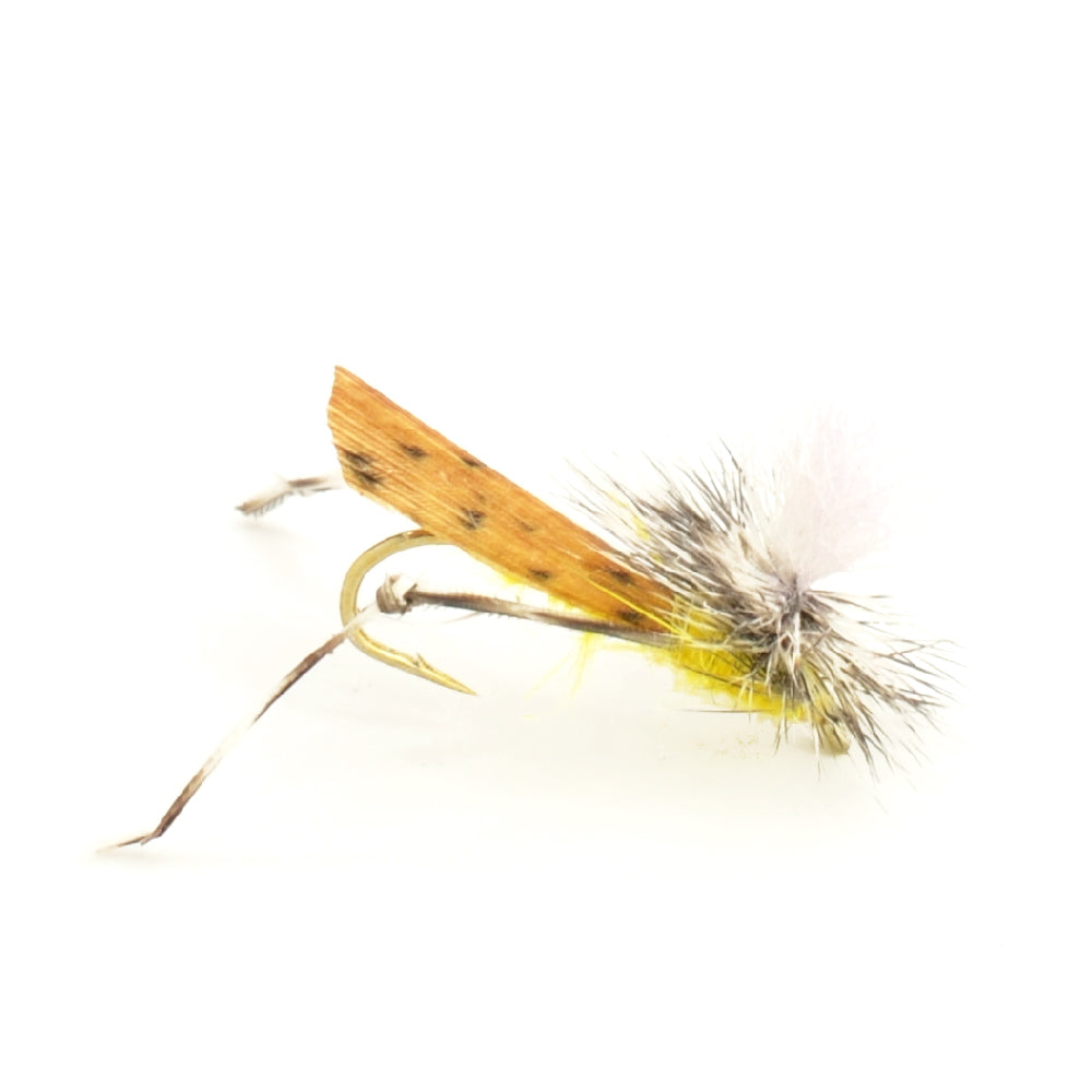 The Fly Fishing Place Basics Collection - Terrestrials Dry Fly Assortment - 10 Dry Fishing Flies - Hopper, Ant and Beetle Fishing Fly Patterns - Hook Sizes 10, 12 and 14