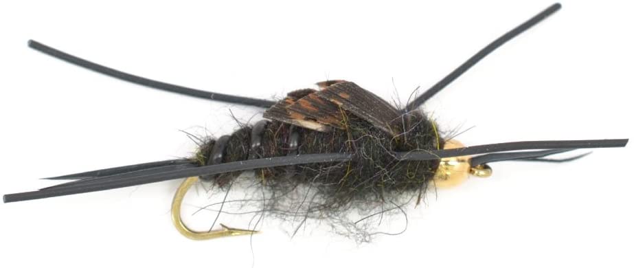 Basics Collection - Kaufmann's Stonefly Nymph Assortment - 10 Bead Head Rubber Legs Wet Flies - 5 Patterns - Hook Sizes 4, 6, 8, 10, and 12