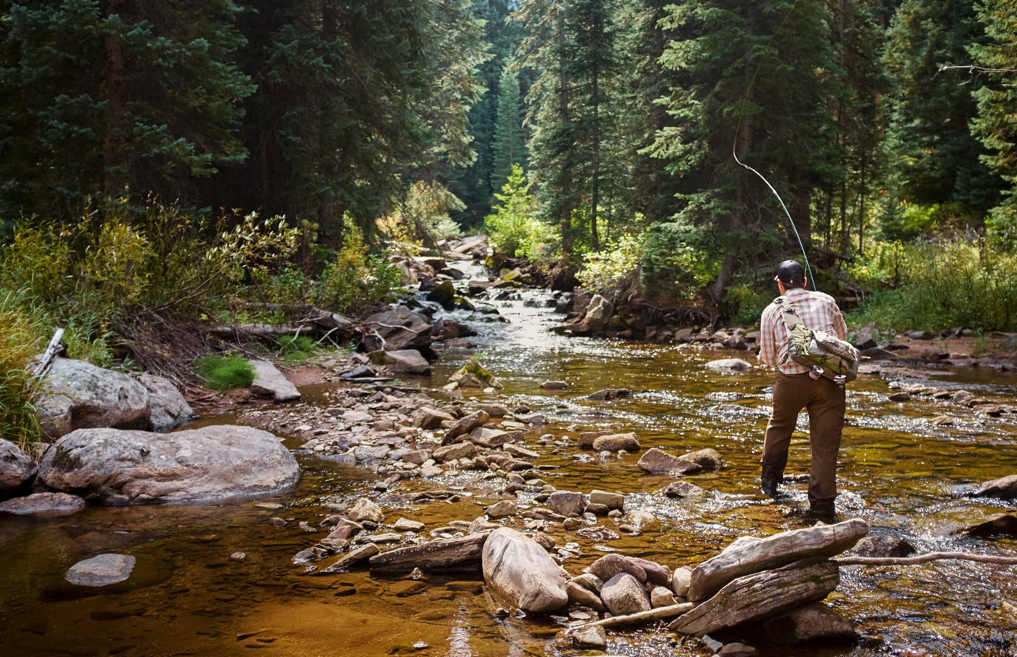 Angler fishing in a stream using Long Tail Skwala Stone Fly Dry Trout Flies - Adult Squalla Stonefly Dry Fly - 6 Flies Hook Size 10