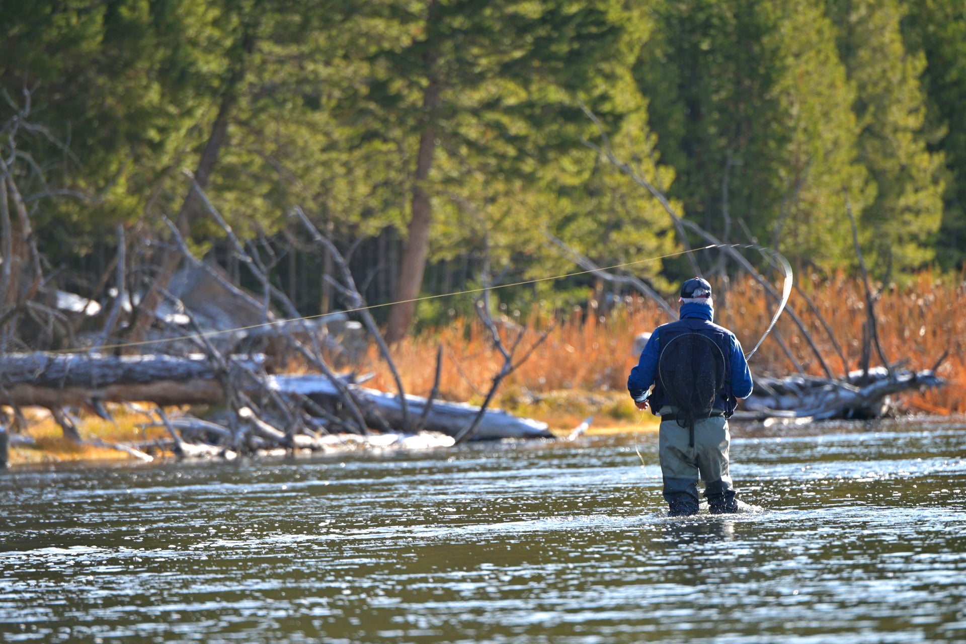 Angler wading in a river casting with Pat's Rubber Legs Nymph for trout fishing