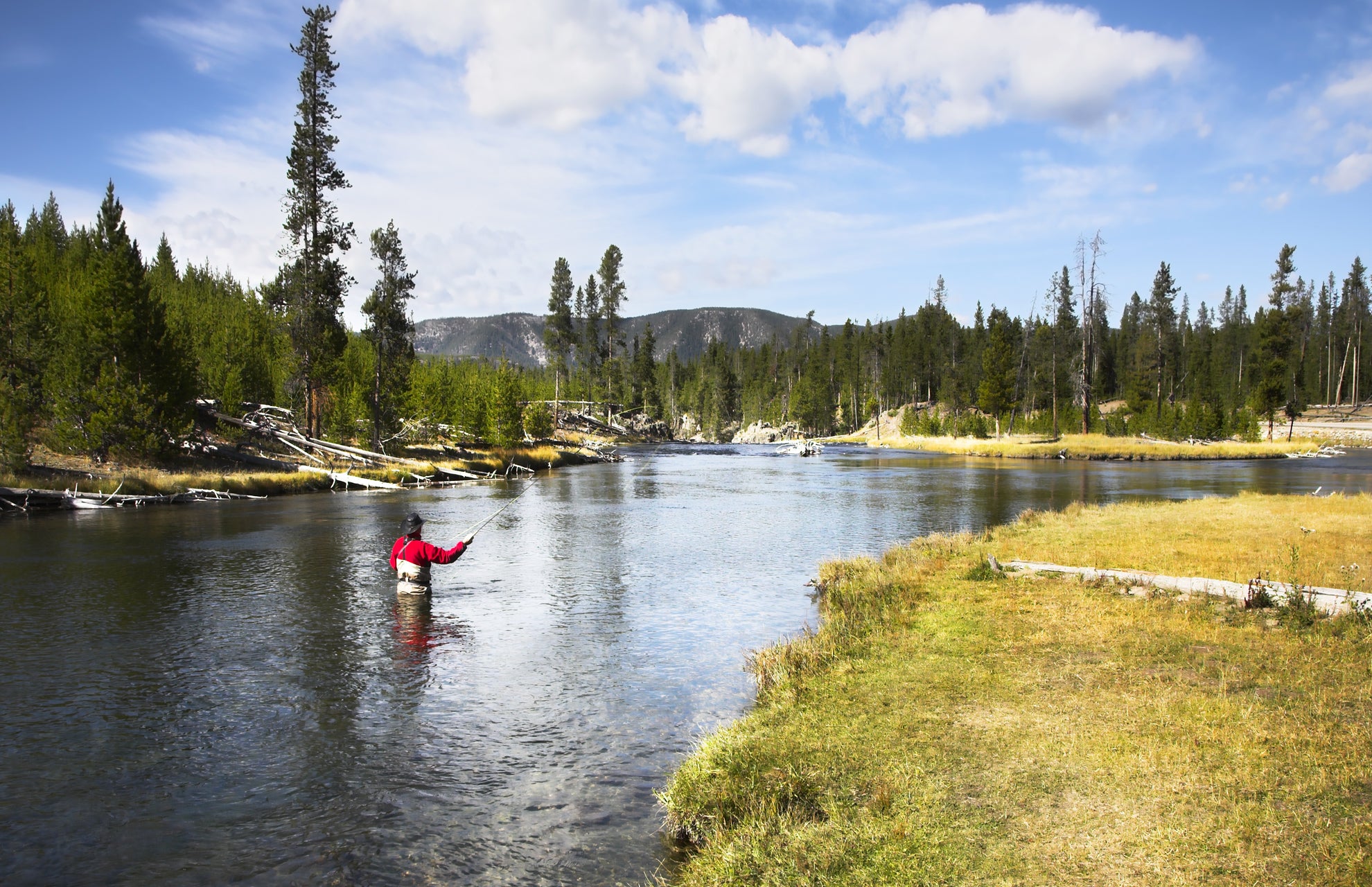 A fisherman casting a line in a serene river, showcasing the beauty of fly fishing with a Trout Fly Assortment.