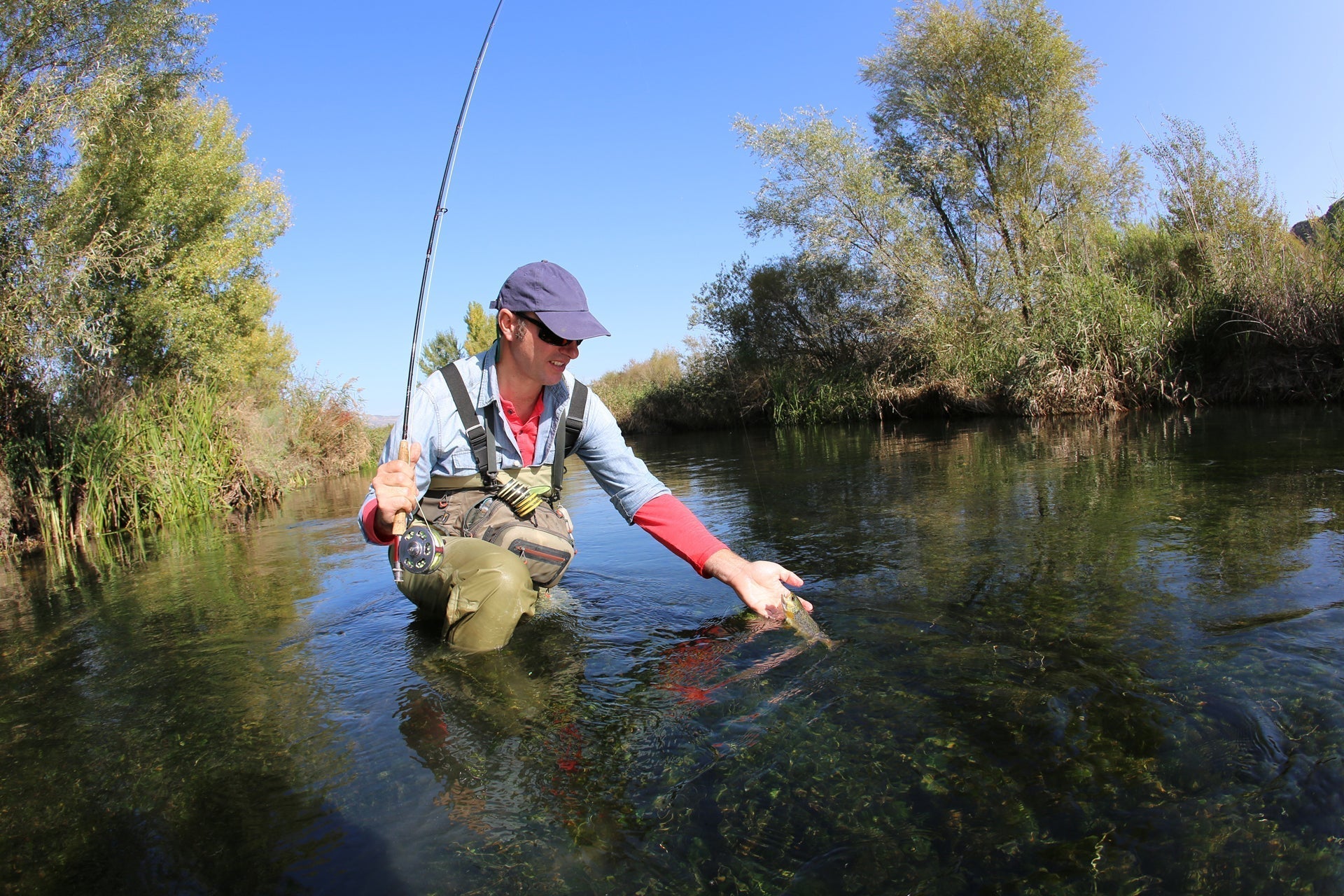 Angler fishing in clear water using Five Classic Dry Flies for a successful catch