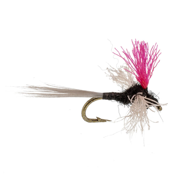New Flies collection featuring vibrant fly fishing patterns designed for attracting various fish species.