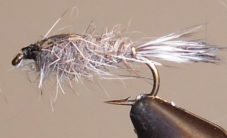 Hare's Ear - Dark Grey