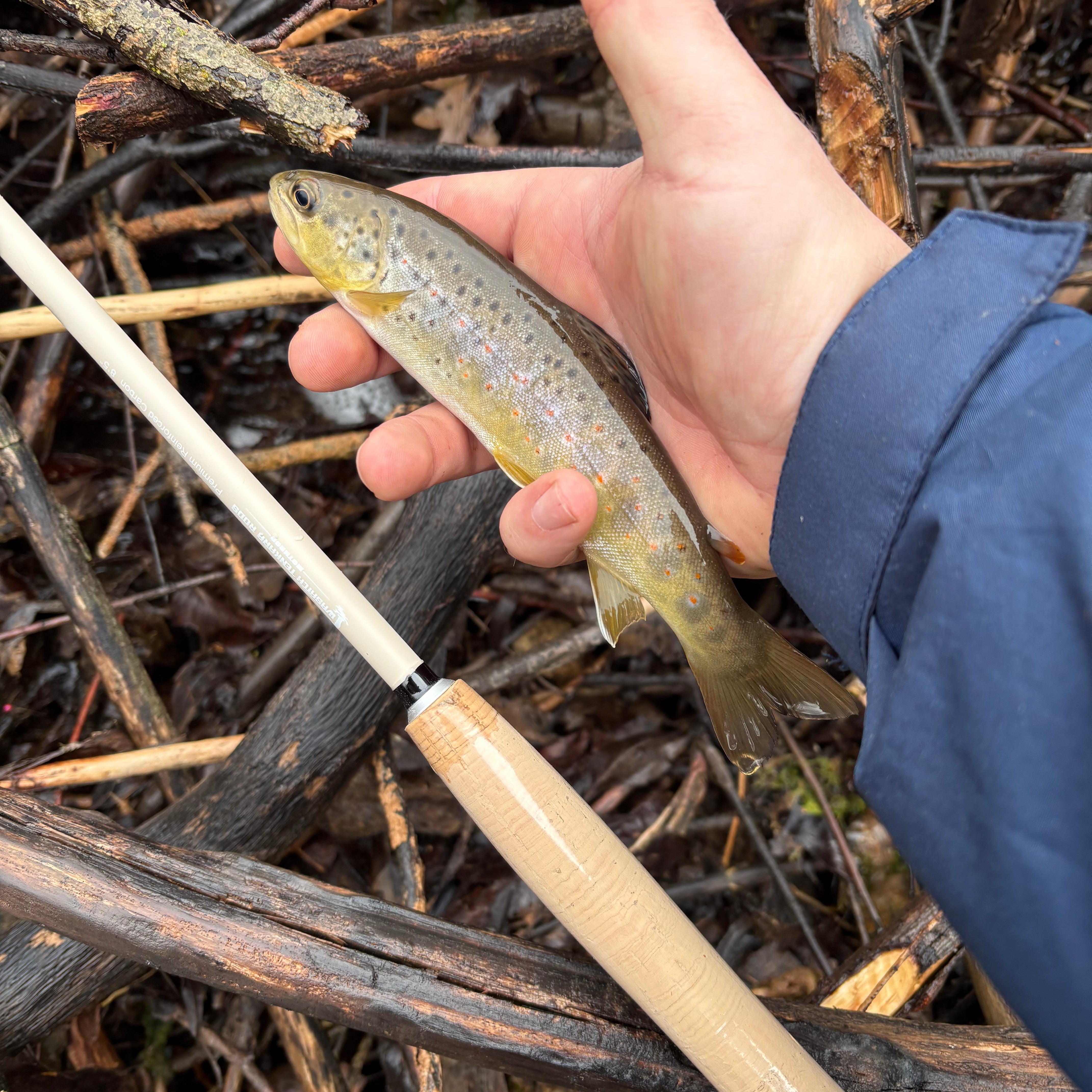 MothRod Single Length Tenkara Rod