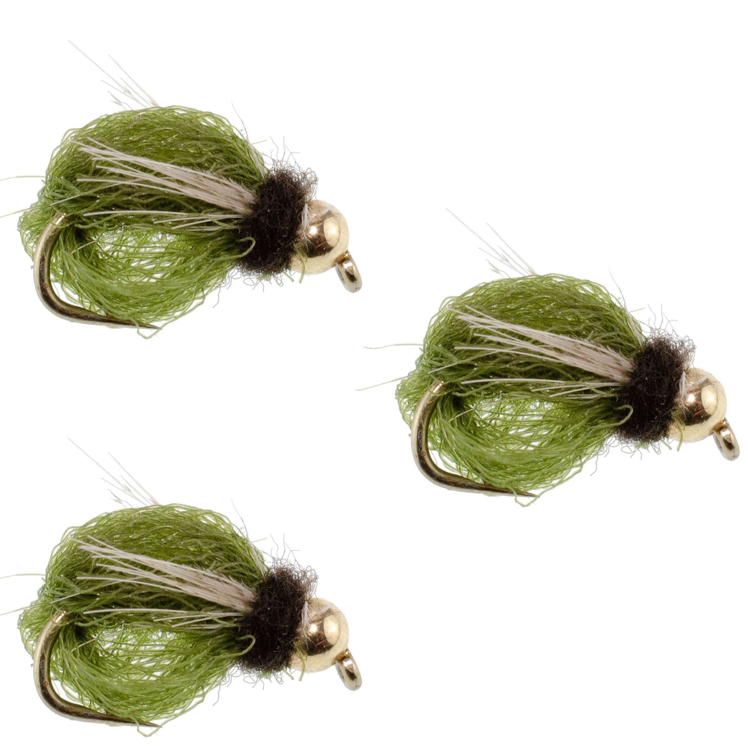 3 Pack Bead Head LaFontaine Olive Deep Sparkle Caddis Pupa - Hook Size 16