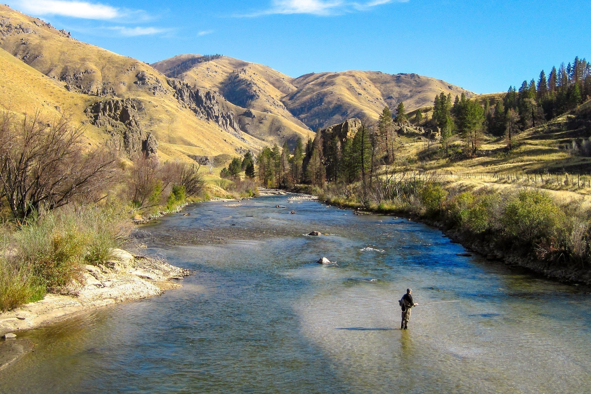 Paquete de 3 moscas de pesca con mosca de huevo Chartreuse caliente con cabeza de cuentas, tamaño de anzuelo 16