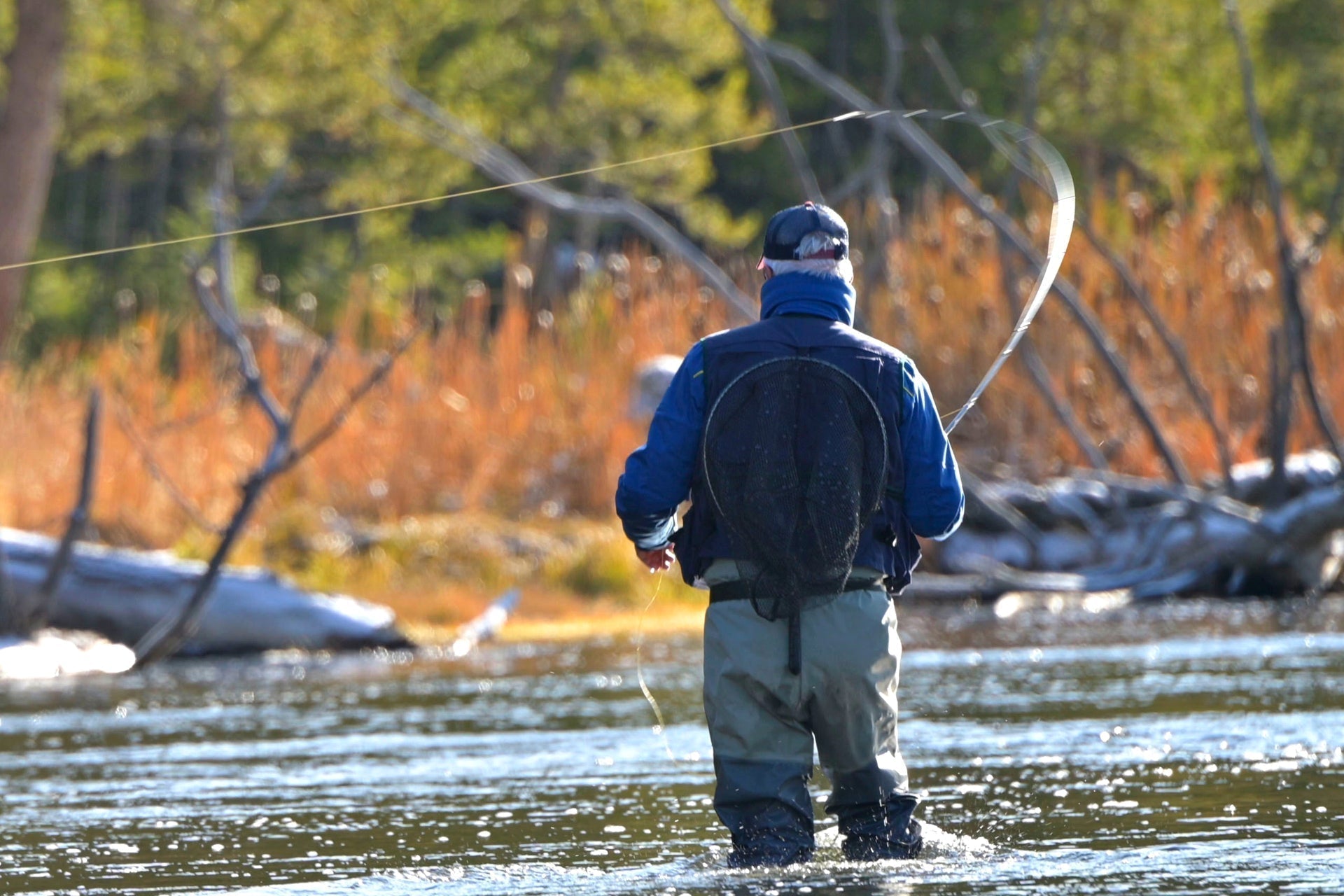 Adams Classic Dry Fly - 1 docena de anzuelos para moscas, tamaño 20