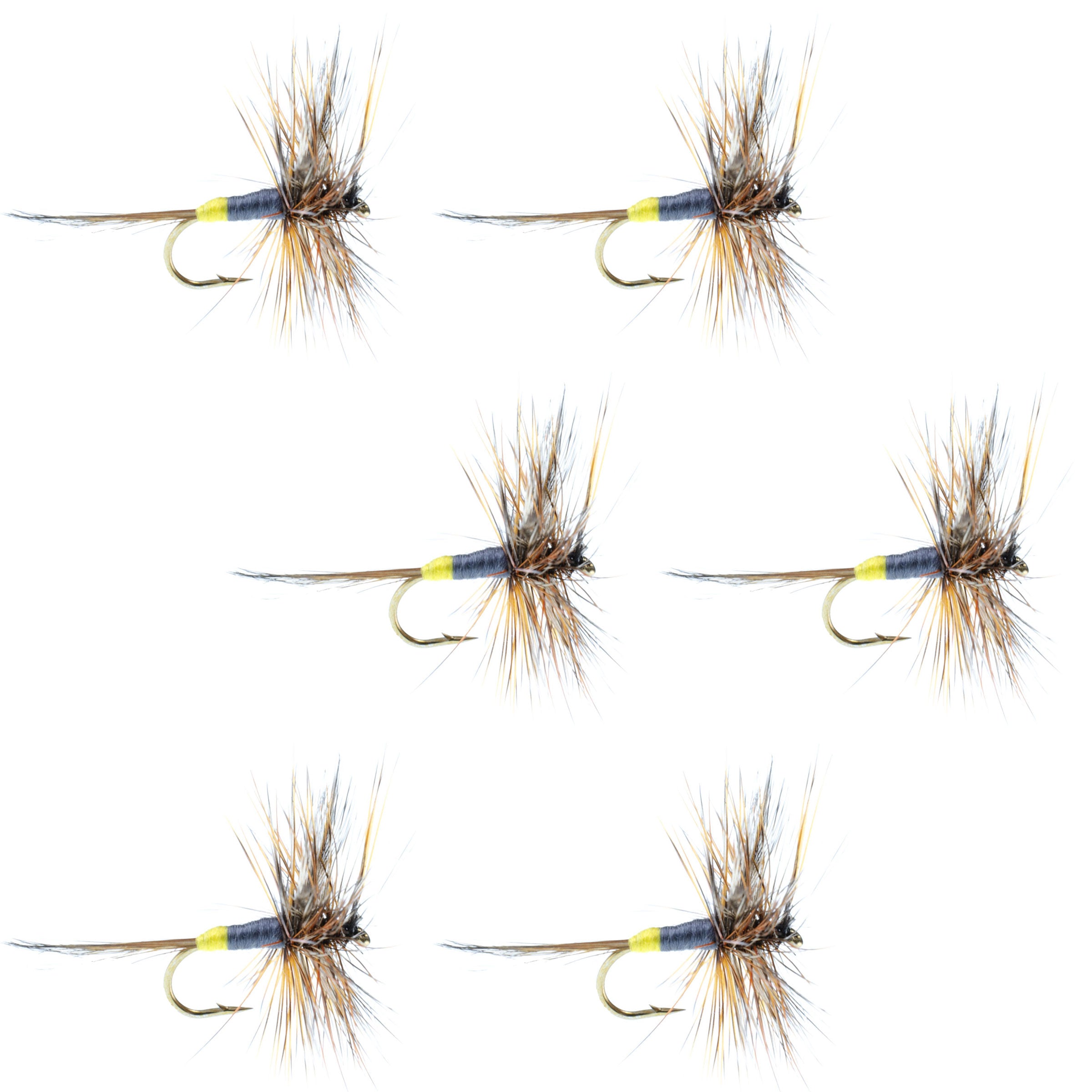 Adams Female Classic Dry Fly - 6 Flies - Hook Size 12