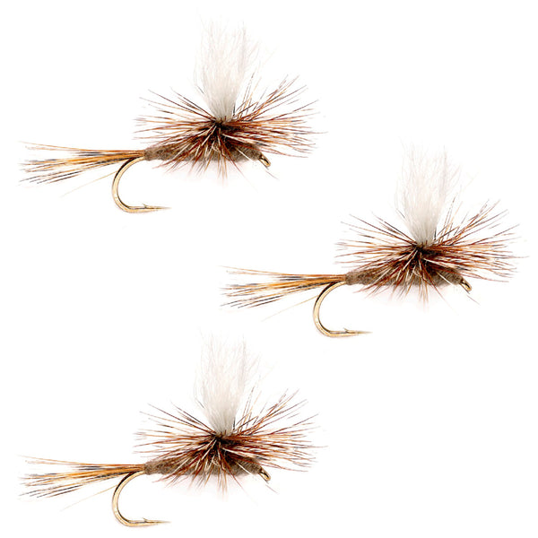 Fly Fishing Dry Flies 10 Different Dry Flies Size 14 Parachute Adams and  Othere