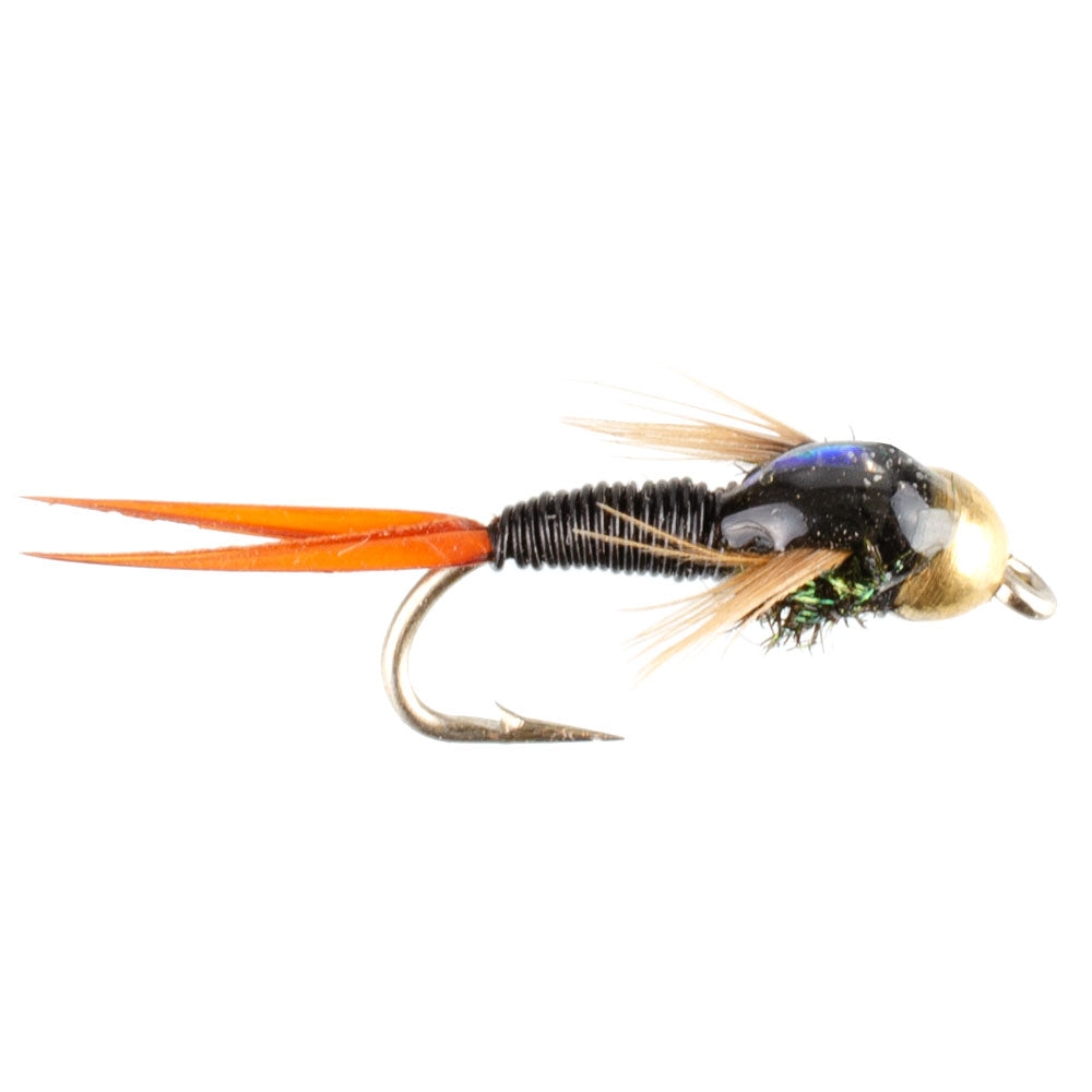Bead Head Black Copper John Nymph Fly Fishing Flies - Set of 6 Flies Hook Size 14
