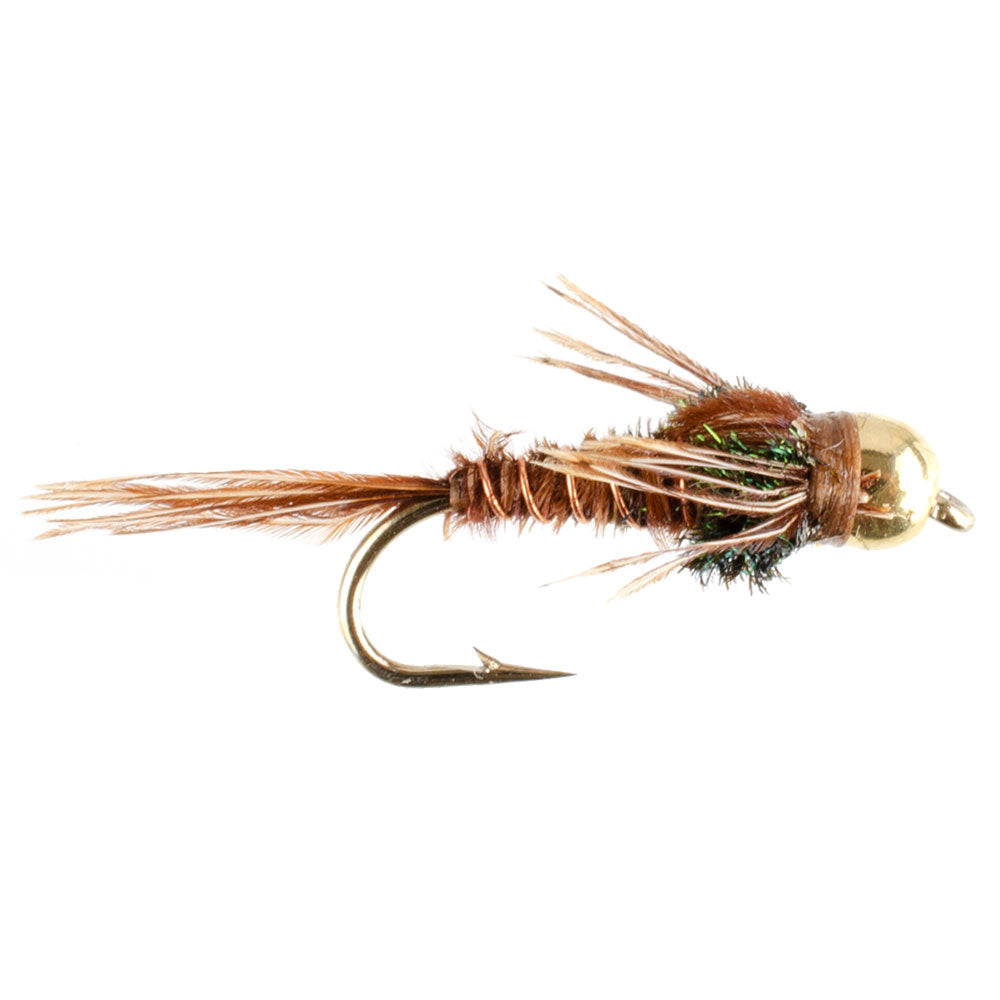 Bead Head Pheasant Tail Nymph Fly Fishing Flies - 6 Flies Hook Size 14