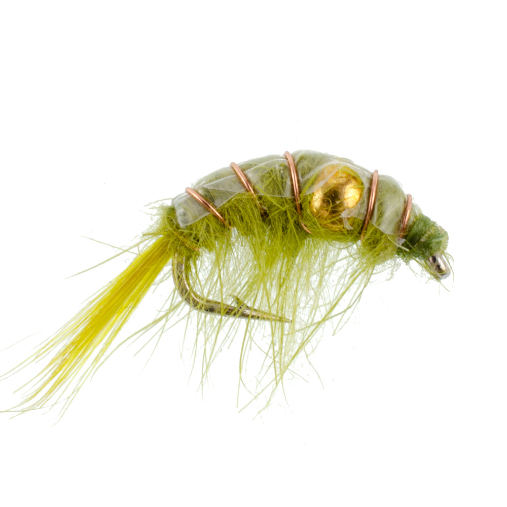 3 Pack Olive Beaded Shrimp Scud Pattern - Size 12 - Tailwater Lake Fly Fishing Nymph Flies