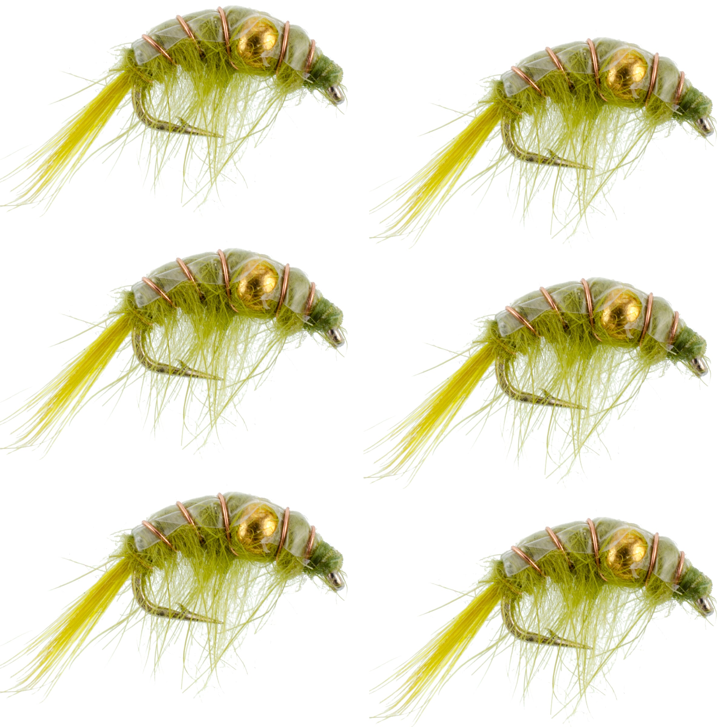 Olive Beaded Shrimp Scud Pattern - 6 Flies - Size 12 - Tailwater Lake Fly Fishing Nymph Flies